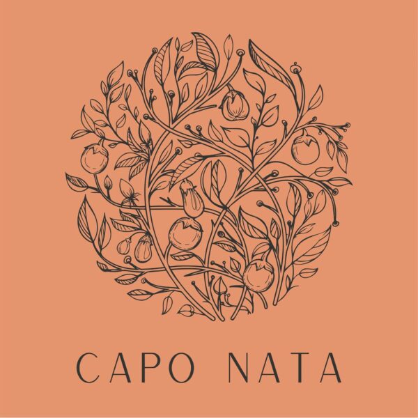 Menu 1 - Caponata